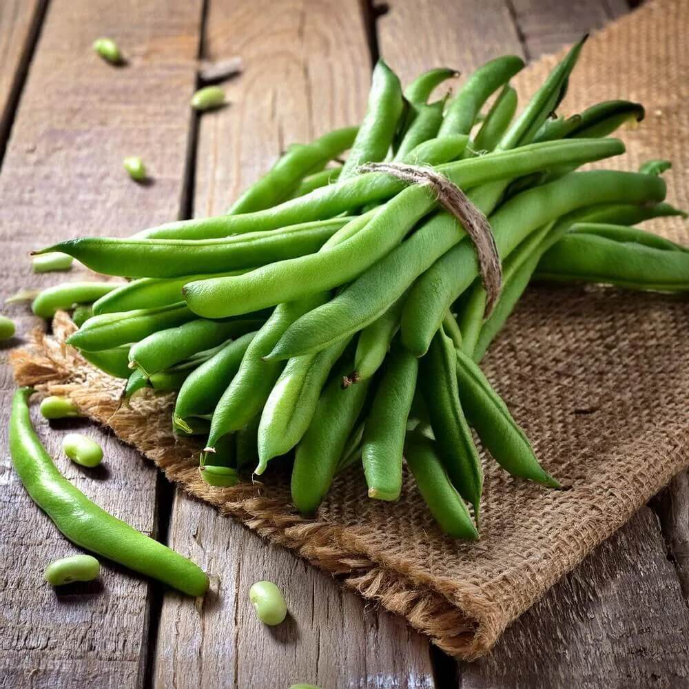  Bean Seeds - Stringless