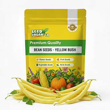Bean Seeds  - Yellow Bush