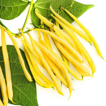 Bean Seeds – Heirloom Yellow
