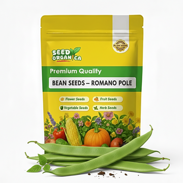 Bean Seeds – Romano Pole