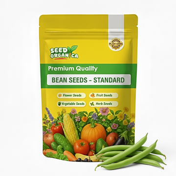 Bean Seeds – Standard