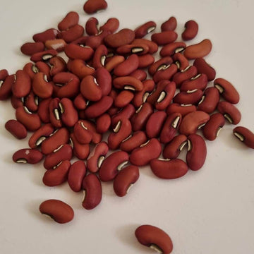 Bean Seeds – Yardlong
