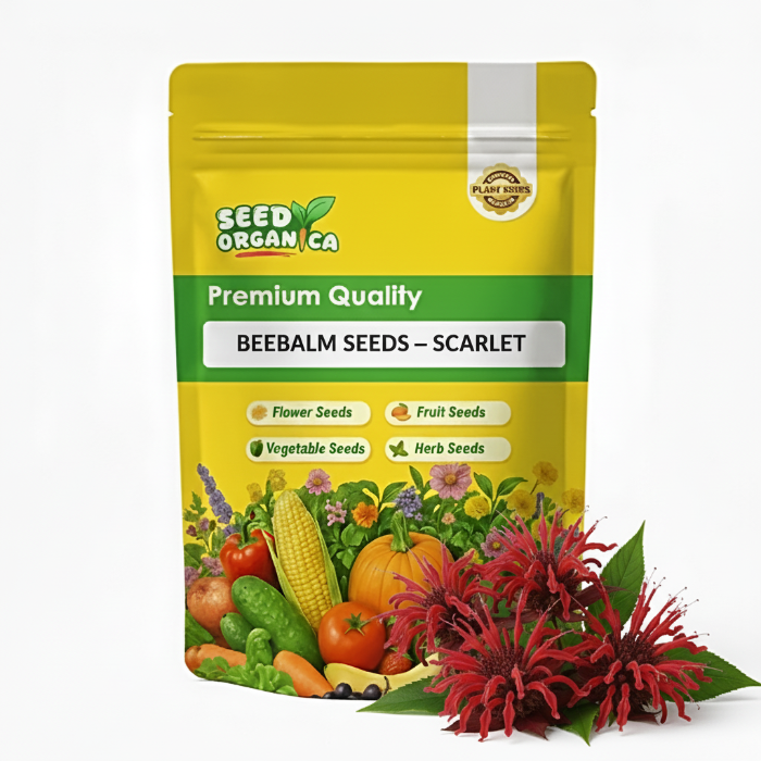 Beebalm Seeds – Scarlet
