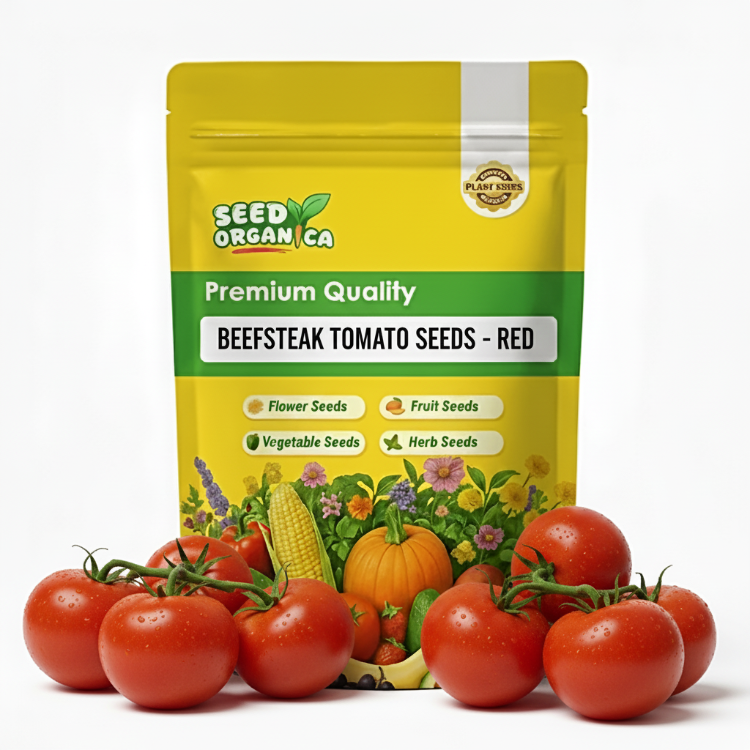 Beefsteak Tomato Seeds - Red