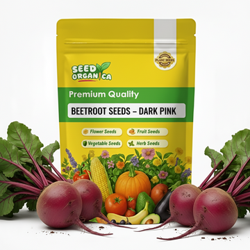 Beetroot Seeds – Dark Pink
