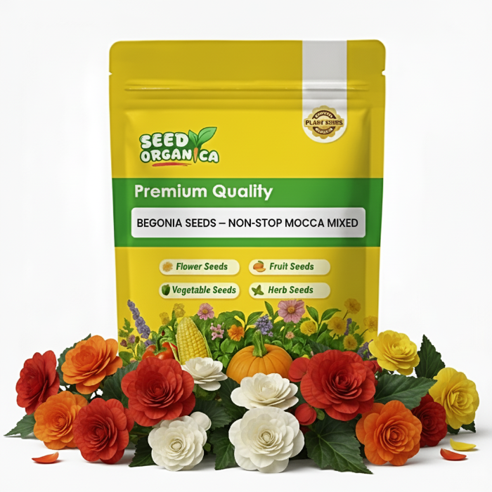 Begonia Seeds – Non-Stop Mocca Mixed