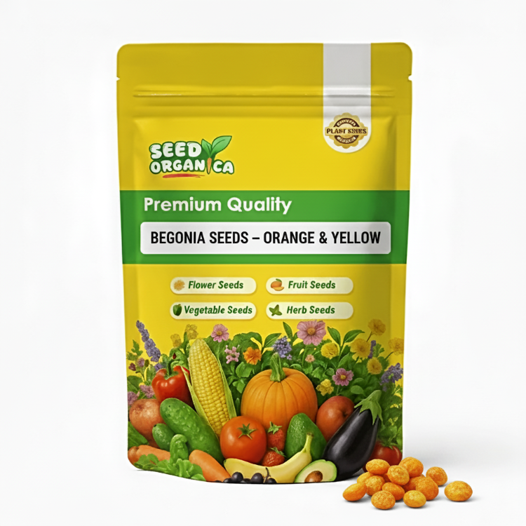 Begonia Seeds – Orange & Yellow