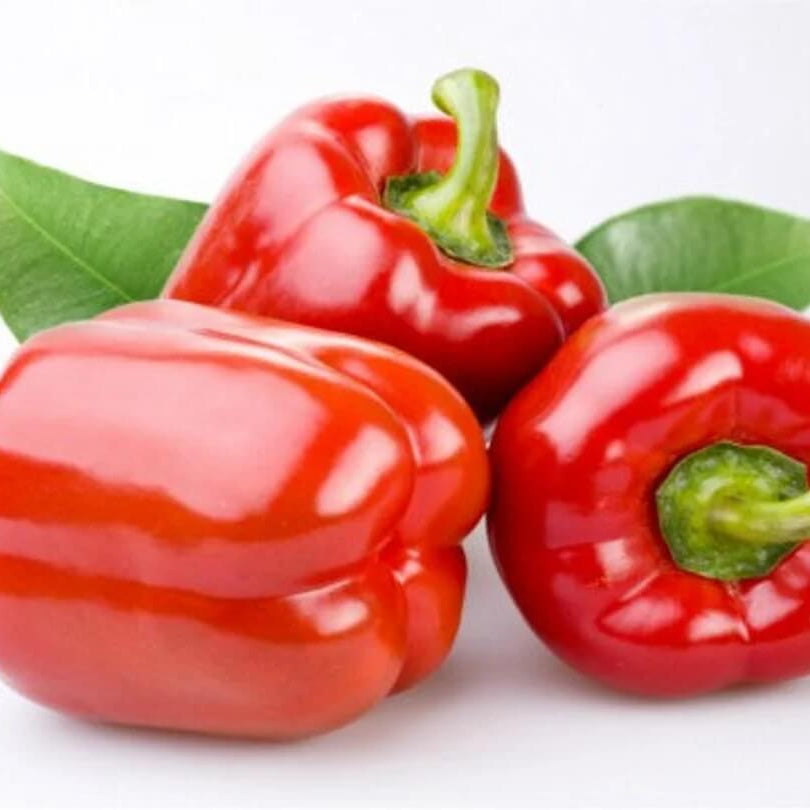 Bell Pepper Seeds – Red
