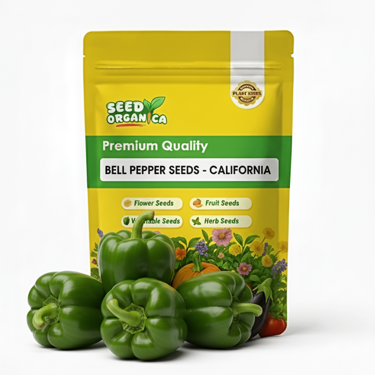 Bell Pepper Seeds - California