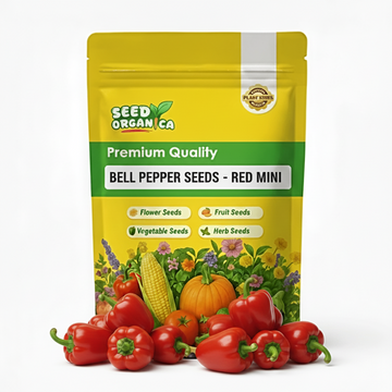 Bell Pepper Seeds -  Red Mini