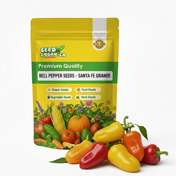 Bell Pepper Seeds - Santa Fe Grande