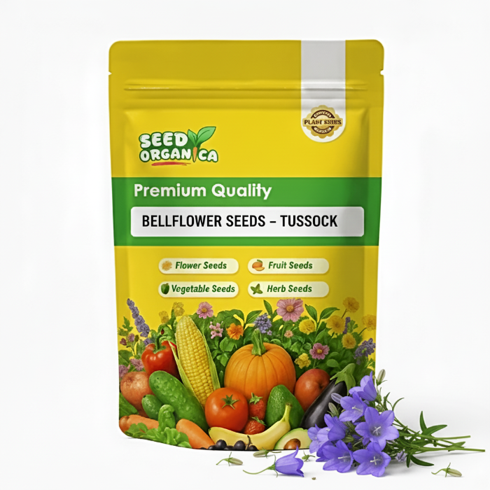 Bellflower Seeds – Tussock