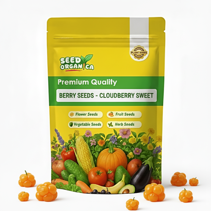 Berry Seeds - Cloudberry Sweet