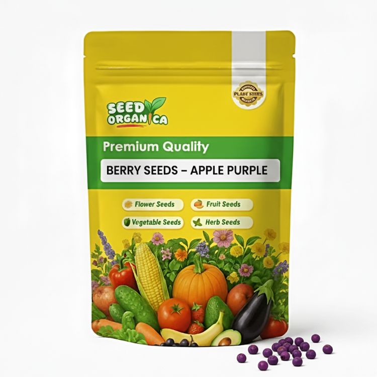 Berry Seeds – Apple Purple