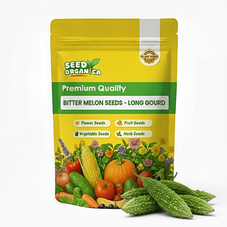 Bitter Melon Seeds - Long Gourd