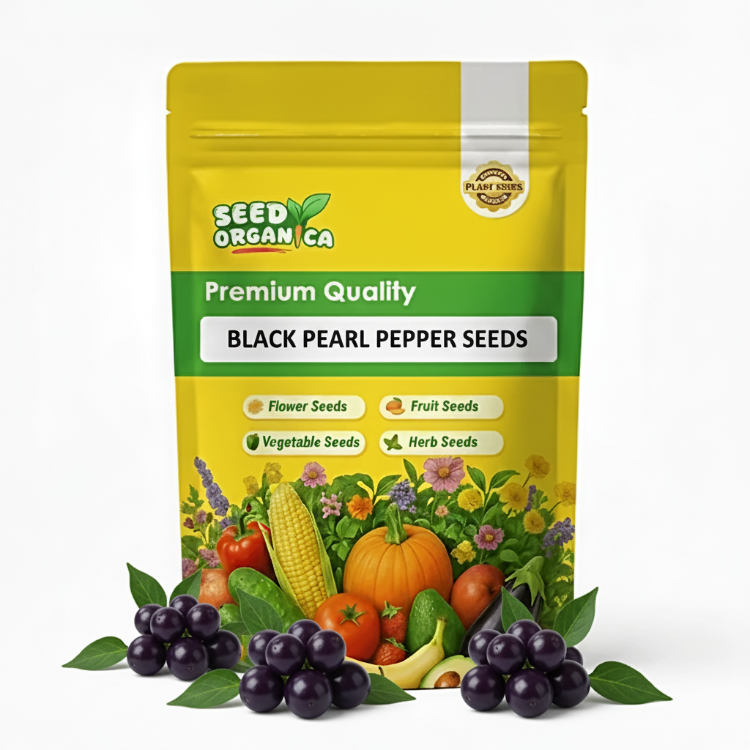 Black Pearl Pepper Seeds