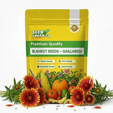 Blanket Seeds – Gaillardia