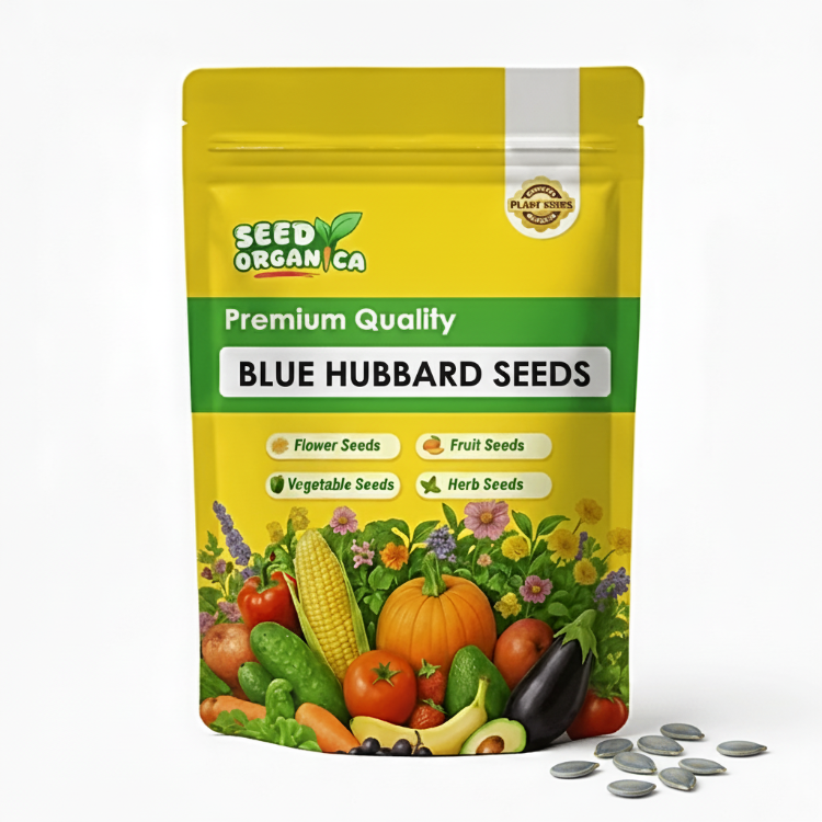 Blue Hubbard Seeds