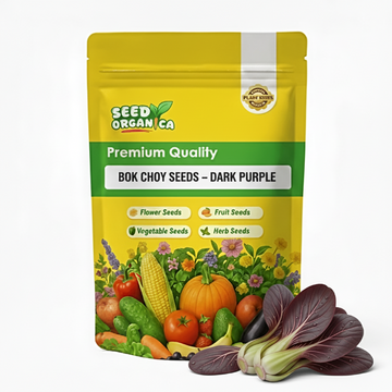 Bok Choy Seeds – Dark Purple