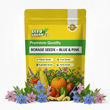 Borage Seeds – Blue & Pink