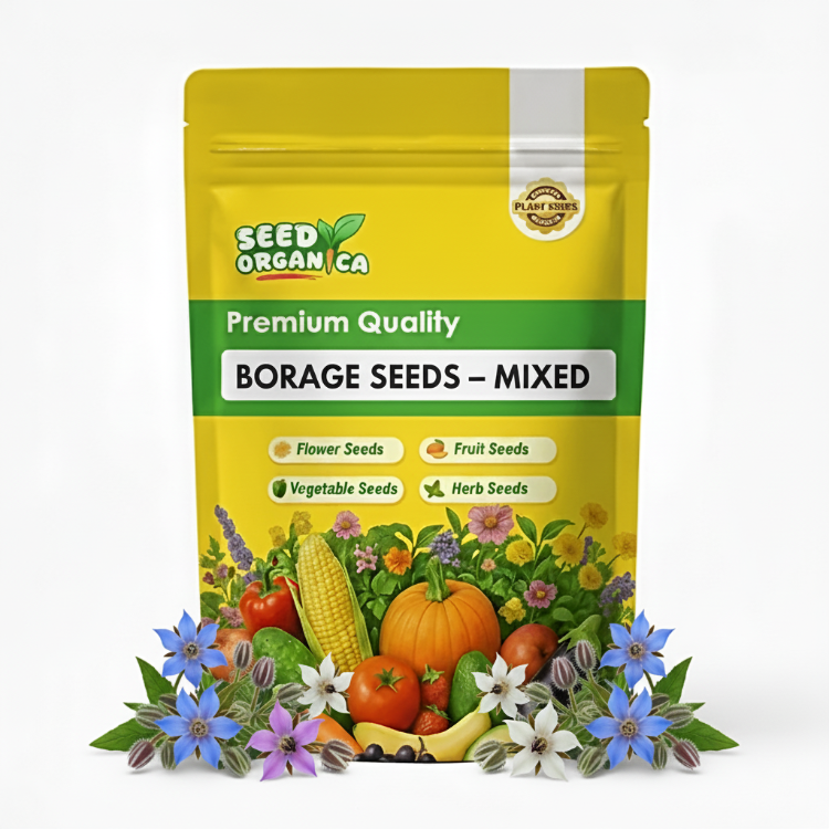 Borage Seeds – Mixed