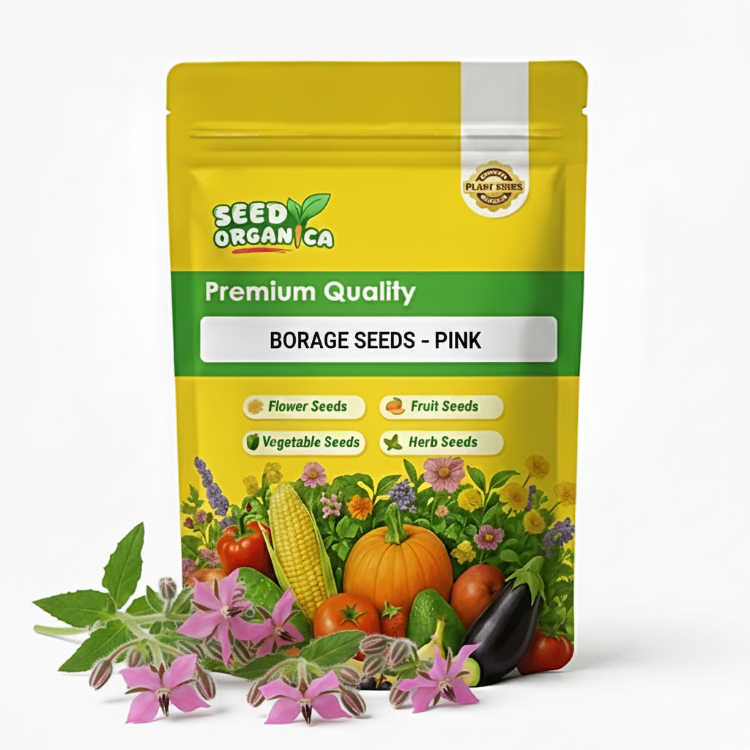 Borage Seeds – Pink