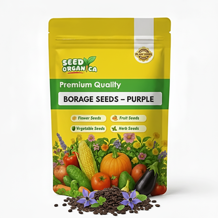 Borage Seeds – Purple