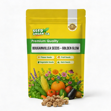 Bougainvillea Seeds – Golden Glow