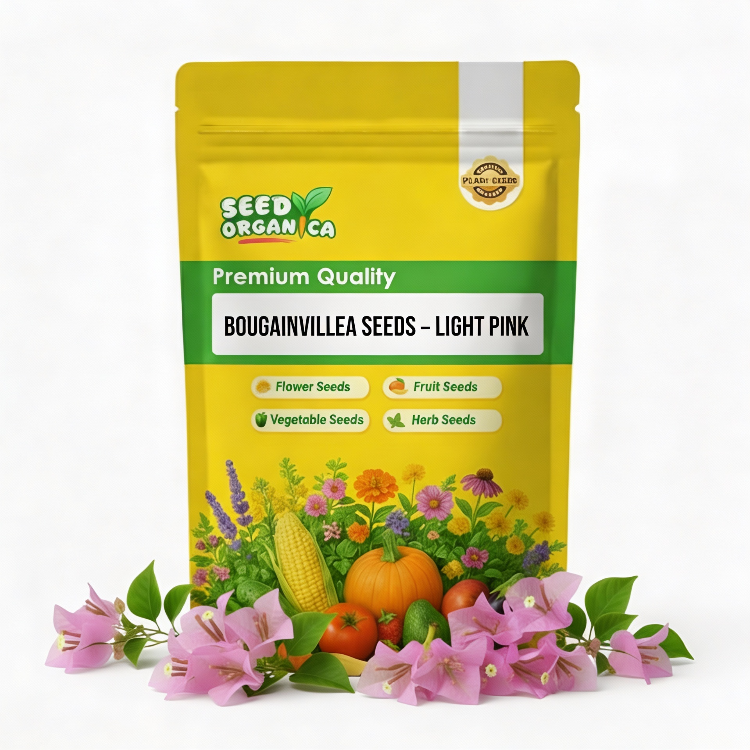 Bougainvillea Seeds – Light Pink