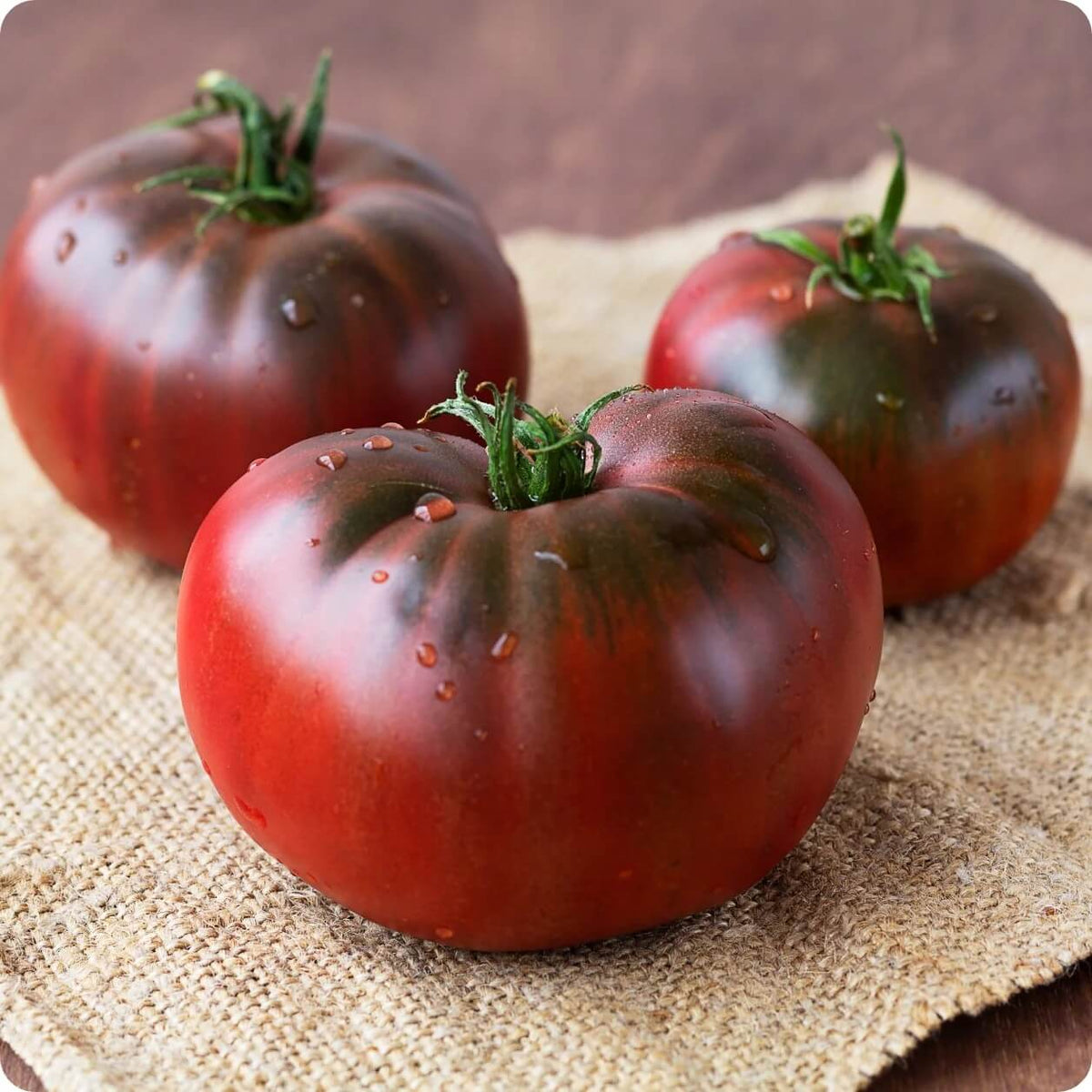 Brandywine Tomato Seeds