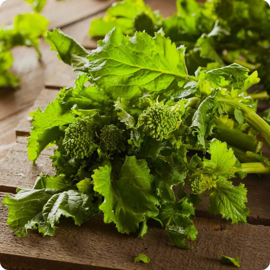 Broccoli Raab Seeds – Rapini