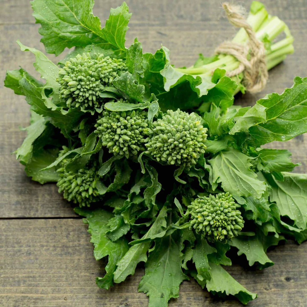Broccoli Raab Seeds – Rapini