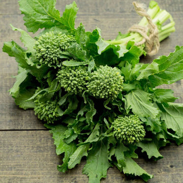 Broccoli Raab Seeds – Rapini