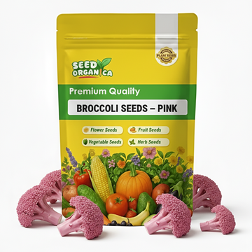 Broccoli Seeds – Pink