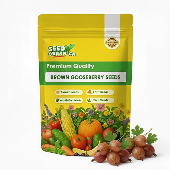 Brown Gooseberry Seeds