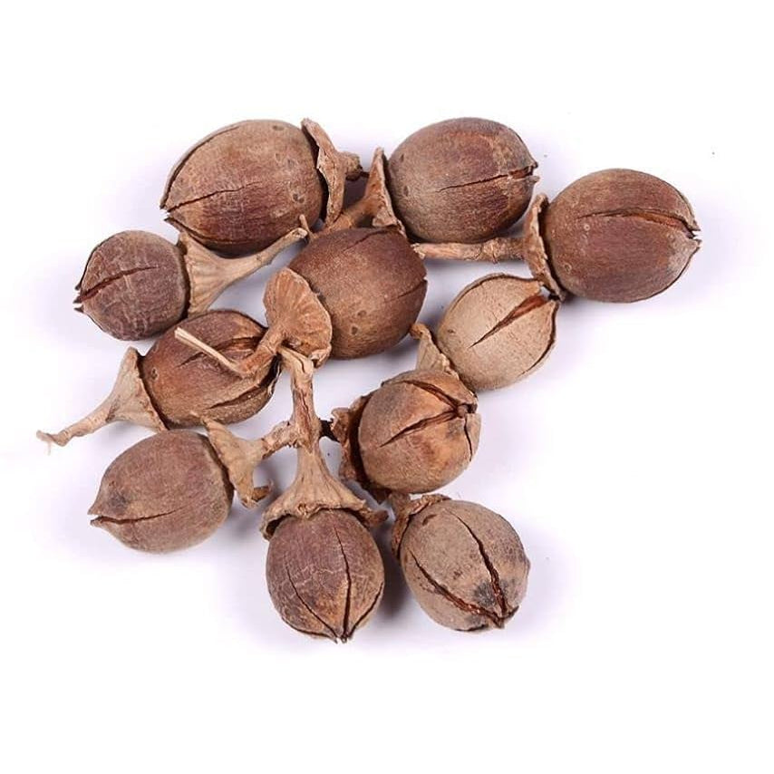 Brown Myrtle Seeds
