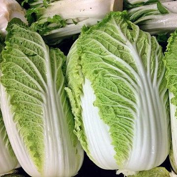 Cabbage Seeds – Michihili
