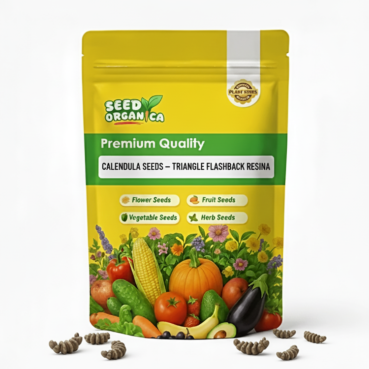 Calendula Seeds – Triangle Flashback Resina