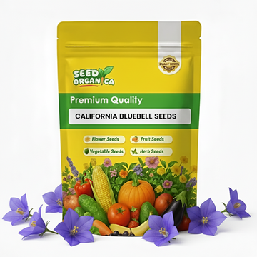 California Bluebell  Seeds