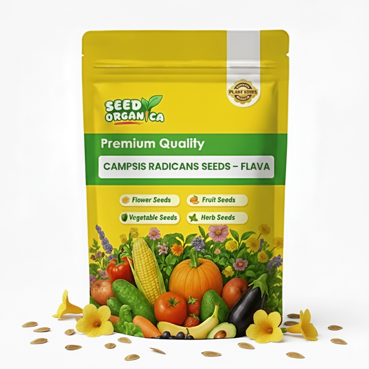 Campsis Radicans Seeds – Flava