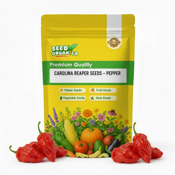 Carolina Reaper Seeds – Pepper