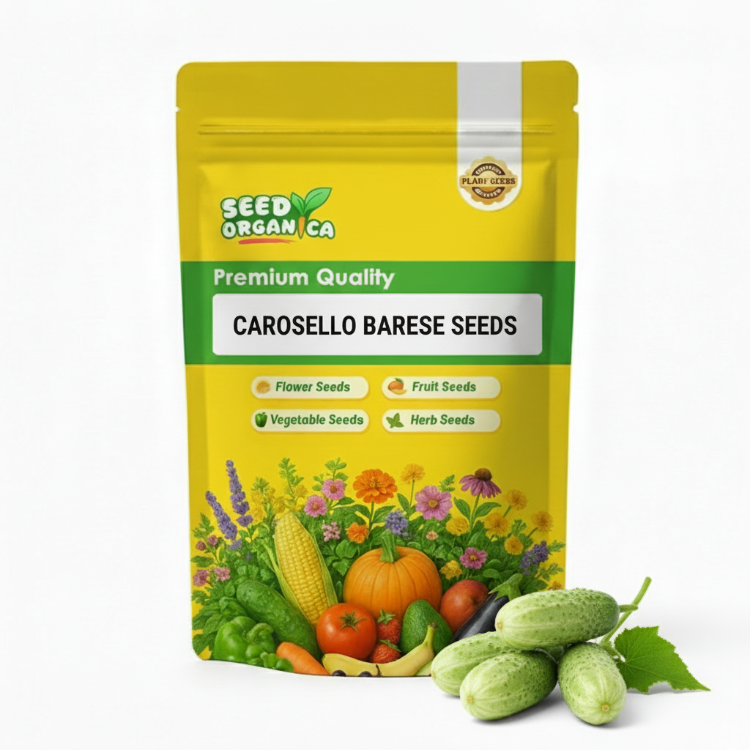 Carosello Barese Seeds