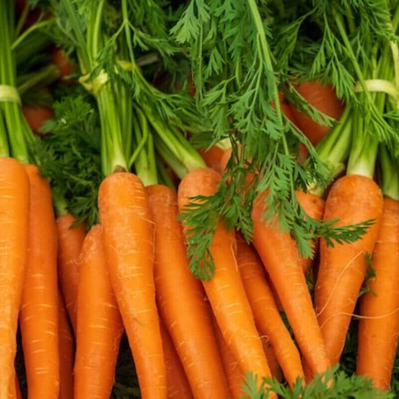 Carrot Seeds – Little Finger