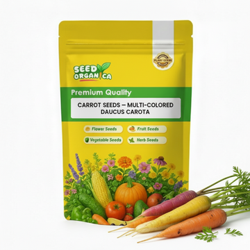 Carrot Seeds – Multi-Colored Daucus Carota