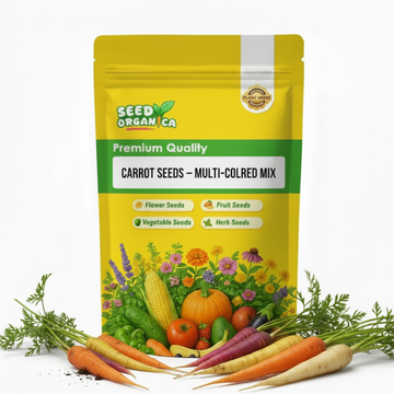 Carrot Seeds – Multi-Colored Mix