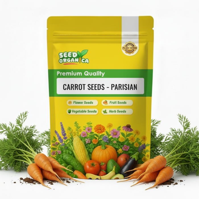 Carrot Seeds – Parisian