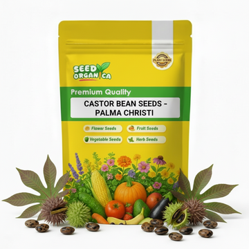 Castor Bean Seeds – Palma Christi