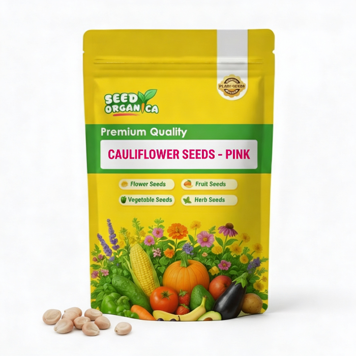 Cauliflower Seeds- Pink