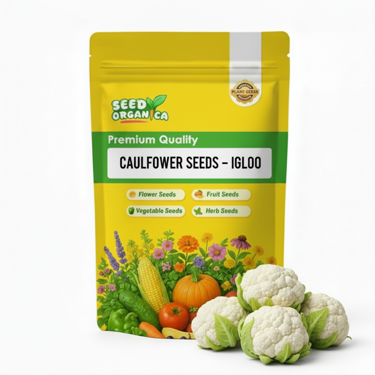 Cauliflower Seeds – Igloo