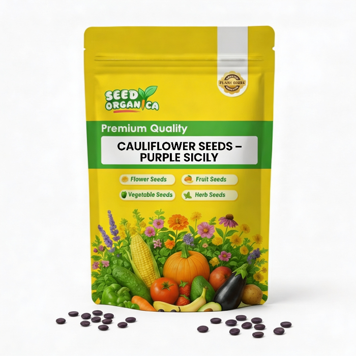 Cauliflower Seeds – Purple Sicily